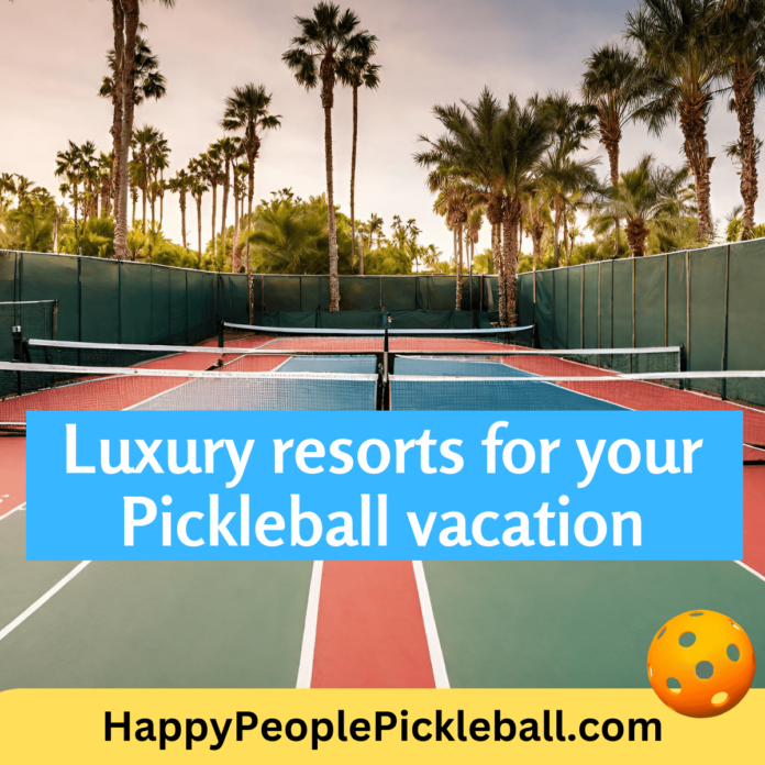 pickleball vacation court with palm trees