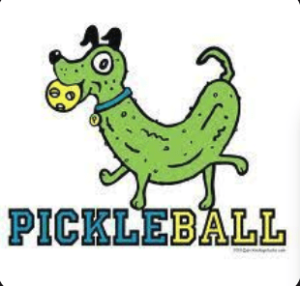 Pickleball Equipment Trivia Questions Pickle Dog