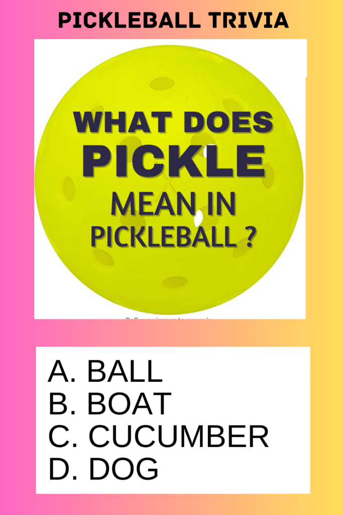 What does Pickle mean in pickleball ?